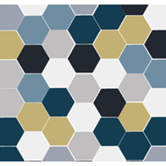 HEX 013